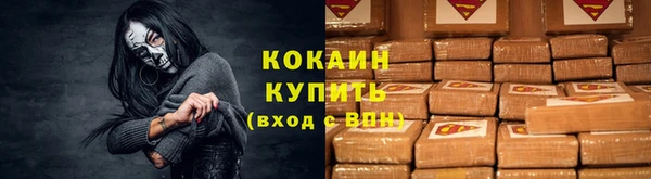 соль ск Алзамай