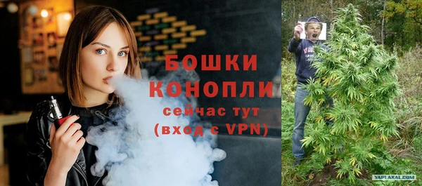 прущие грибы Аркадак