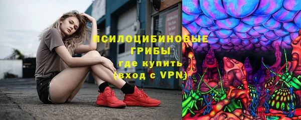 амф Алексин