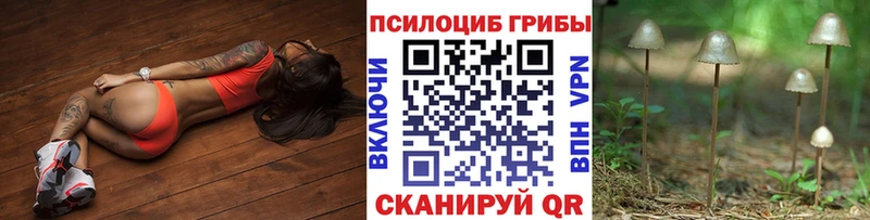 Псилоцибиновые грибы Psilocybe Салехард